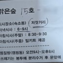 [양평 단체 독채펜션 추천] 맑은숲캠프 – 바베큐 무제한 + 찜질방까지! 완벽 힐링 여행