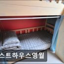 게스트하우스영월 | 영월 숙소 추천 게스트하우스영월 영월 숙소 추천 - 접근성이 뛰어난 게스트하우스