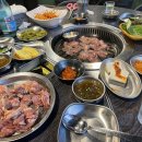 도화갈매기 이미지