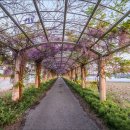 두월노을마을 이미지