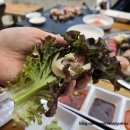 애견동반가능한 부산동부산아울렛 근처 기장 고기집 더바베큐051