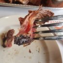 프라임 애견 이미지