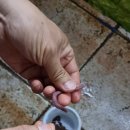 고고실내바다낚시 이미지