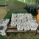 페어웨이 천연 잔디타석 골프연습장 이미지