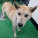 국사봉로 이미지