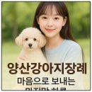 농림축산검역본부 양산사무소 | 양산강아지장례, 가족처럼 보낸 아이의 마지막 길을 함께하다