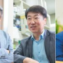 2018년 거리로 나온 예술 이미지