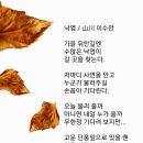 낙엽 / 이수만 (사) 서울시소기업소상공인연합회 초대회장 이미지