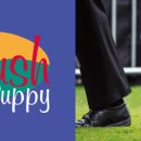 퍼피얌 그루밍 이미지