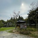 초록별숲유치원 | 경주 힐링 플레이스! APEC 가볼만한 곳 경북천년숲정원 감동추천