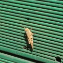 괘법한신유치원 이미지