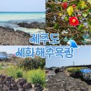 세화 | 제주도 구좌여행 세화해수욕장 별방진 다녀온 후기