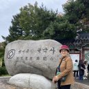 해랑여행사 | 47년생 할머니랑 해랑열차 내돈내산 후기 - 챕터2