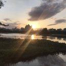 권선중앙약국 이미지