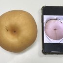 굿모닝사랑약국 | 임신기록 6-7개월:20-27주차 / 나트랑태교여행 임산부교실