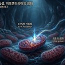 제1화 이미지