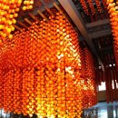 함안스포츠타운 이미지