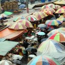 자갈치시장 이미지