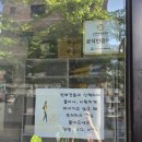 데스티니 퍼피 이미지