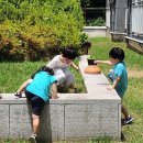 색종이접기-집 꾸미기 이미지