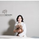 공감+동물의료센터 이미지