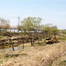 황구지천 이미지