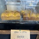 콘이코니 이미지