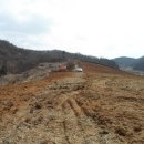 미숙농장 이미지