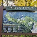 국화축제 근황 가을이 찾아 온 대구수목원 후기