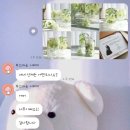 청초공방 이미지