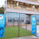 더퍼피즈블루오션 이미지