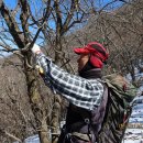 성주사계곡에서 불모산으로 직등을 하다....(2)20240302 (2024 - 07) 이미지