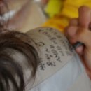고기대장정 - 완도군 | 고기대장정