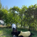 더블스테이 또또멍5호 이미지