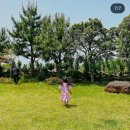 협재통나무집 이미지