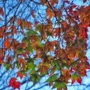 만보모텔 이미지