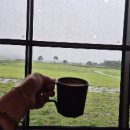 카페 그 곳 이미지