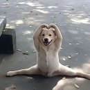 용원목장 이미지