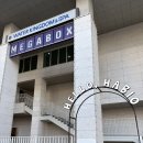 4634 | 문정동 꽃집 하비오 플라워 바이 수 꽃바구니 구매 후기🌷🫧