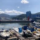 대가삼계탕 옥포점 이미지