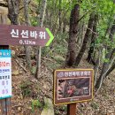 청류_맑고 청아한 이미지