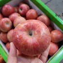 영남과일마트