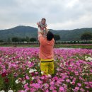 홍길동흑염소 - 장성군 전고개로 236 | 홍길동흑염소
