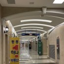 씨유 광교중흥점 | 광교 일본카레 추천/ 숨겨진 조용한 카레집 ‘느긋’ 방문후기
