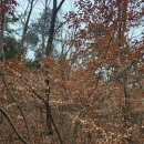 모실농장 이미지