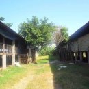 양계장농장 이미지