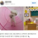 마인드몽 유치원 이미지