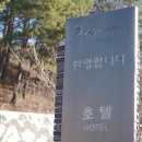 울진 숙소 덕구 콘도 온천 스탠다드 호텔