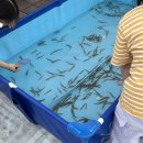 화랑합기도 이미지