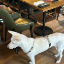 예천연탄 이미지